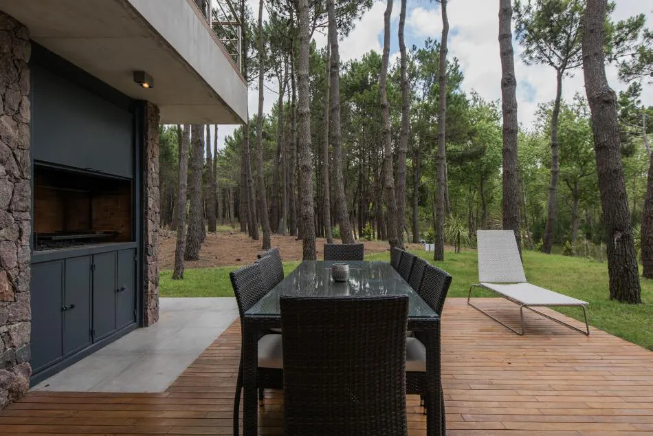 Entre el bosque y el mar