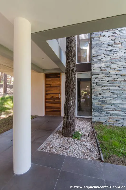 Contemporánea y dinámica