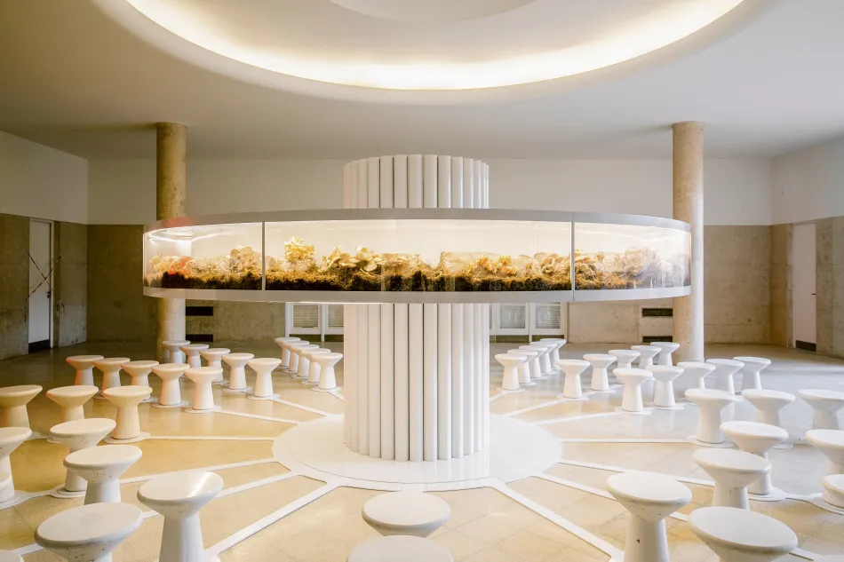 Casa Foa - Parque de la innovación