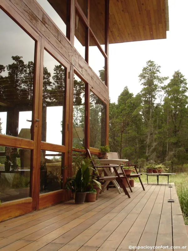 En el silencio del bosque