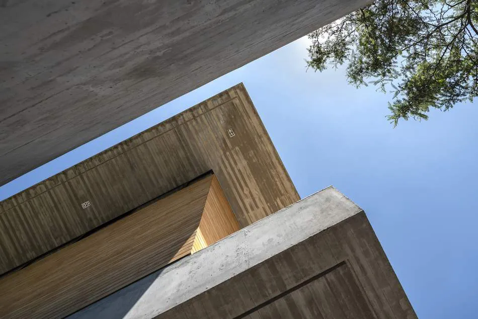 Vivir entre los árboles