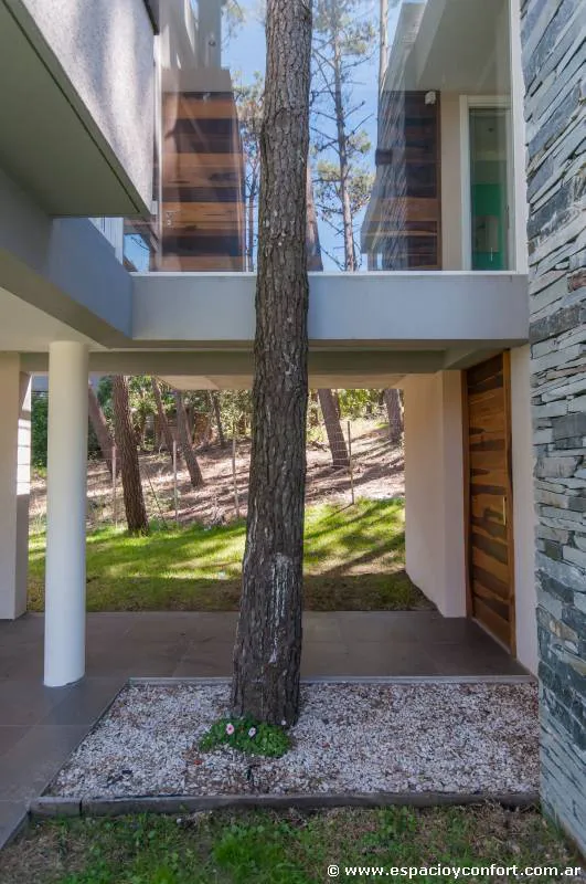 Contemporánea y dinámica