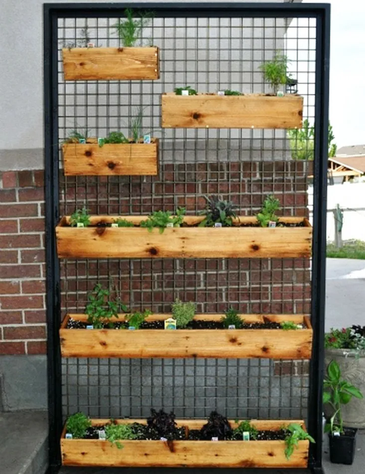 10 opciones para cultivar en casa