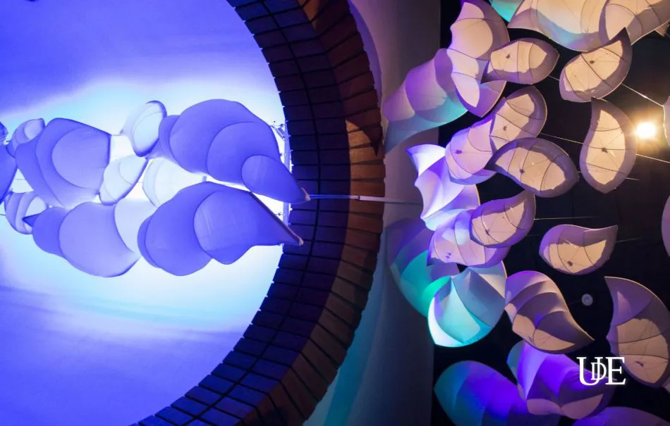 Creatividad y sensibilidad