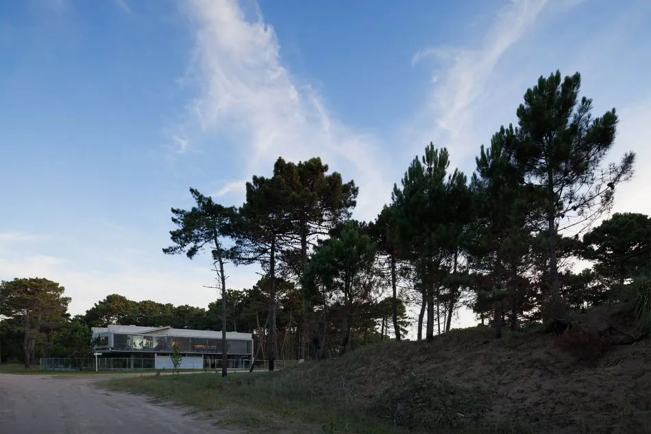 Para que la vida suceda