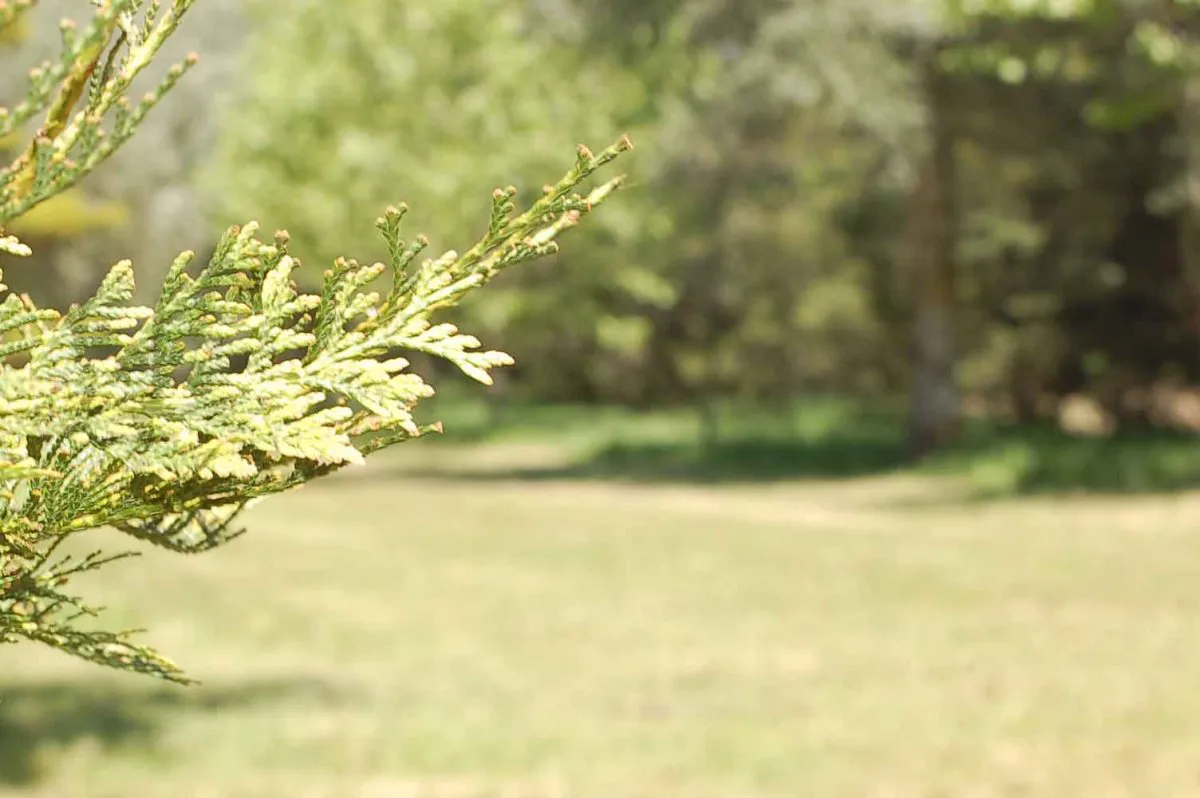 invertir en calidad de vida