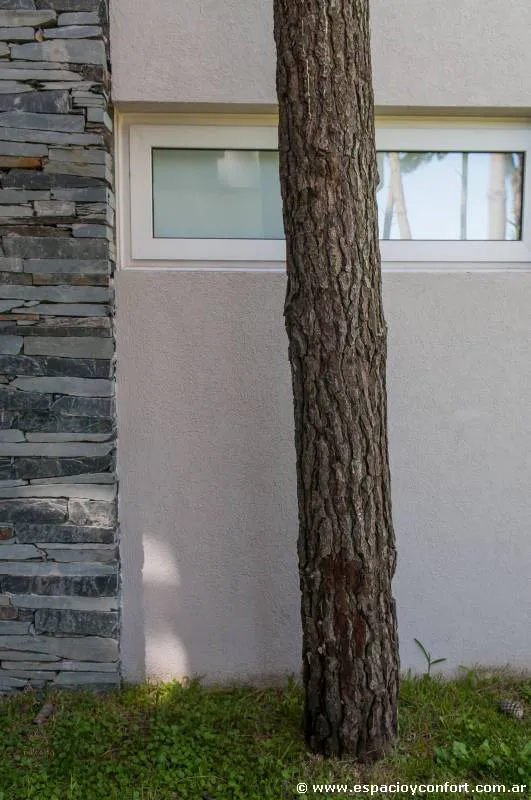 Contemporánea y dinámica