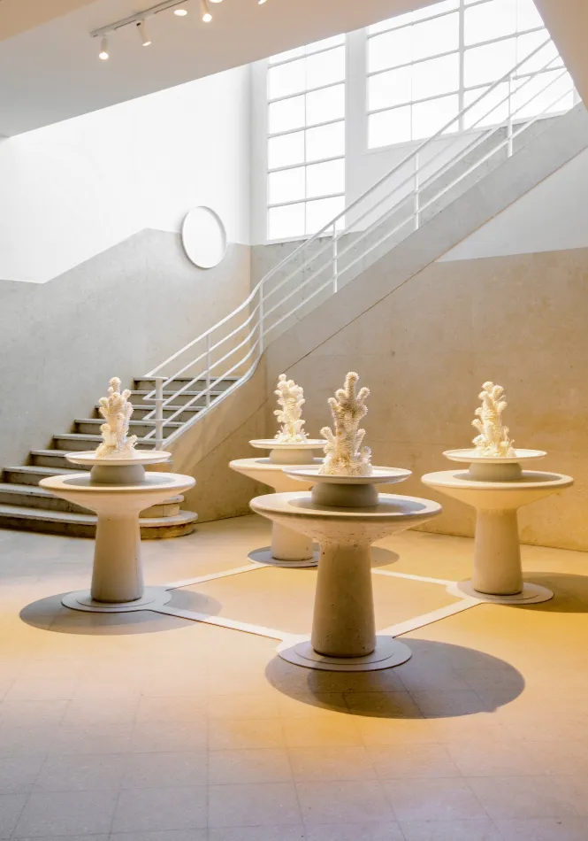 Casa Foa - Parque de la innovación