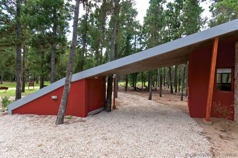 Lo técnico y lo artístico