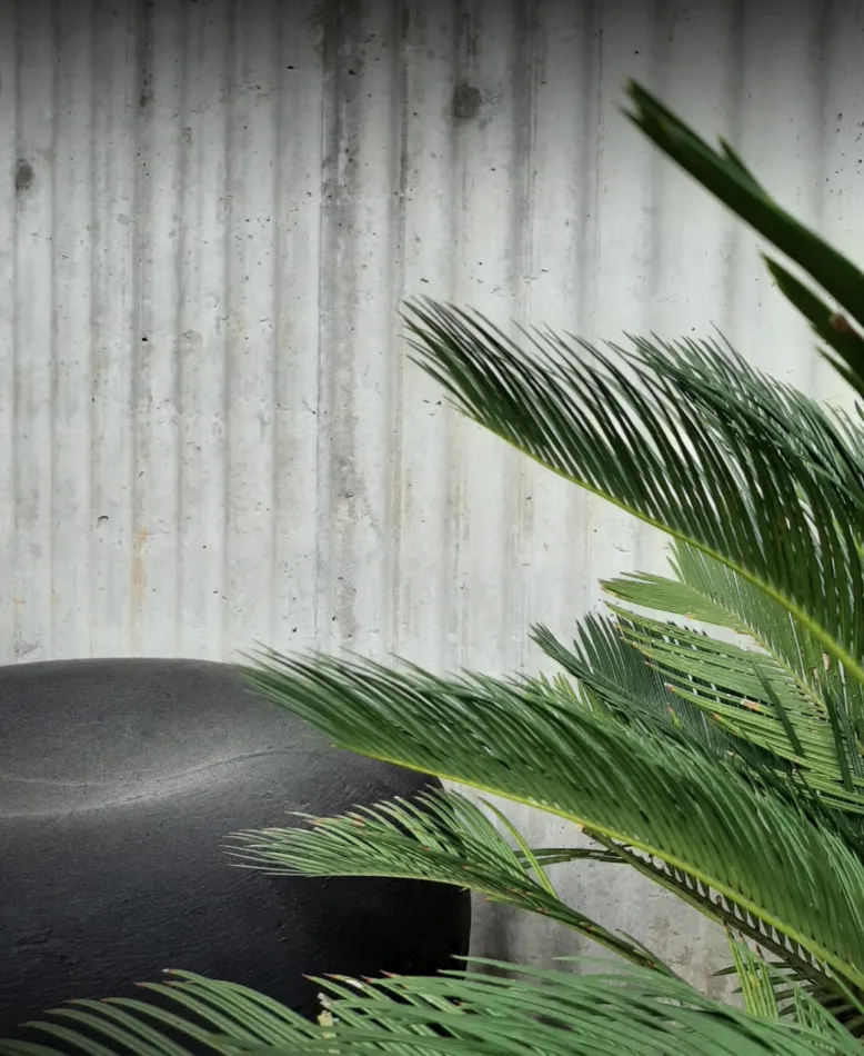 Experiencia Satélite Casa FOA