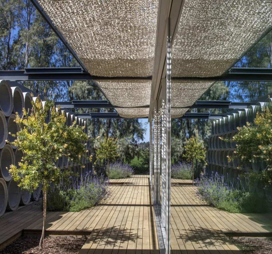 Con acento en lo singular