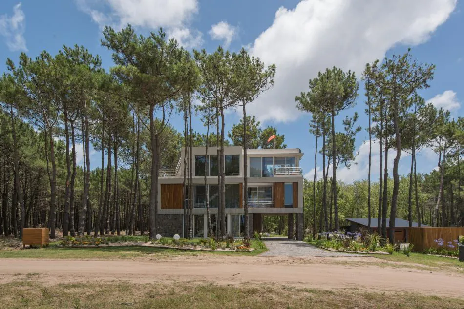 Entre el bosque y el mar