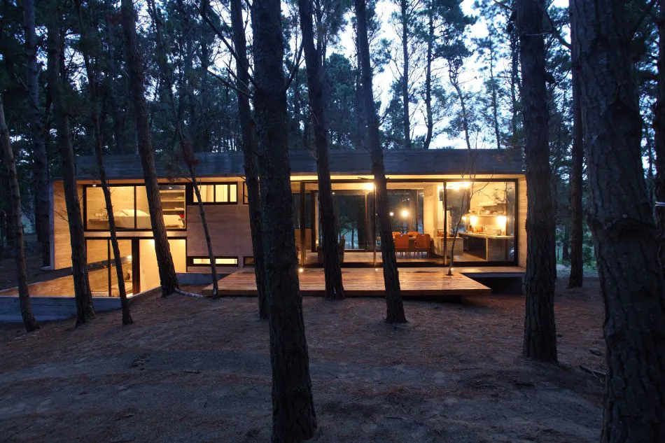 Diseñada en el bosque