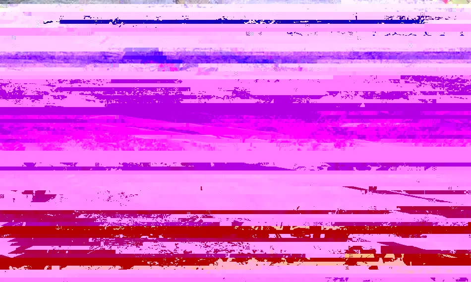 10 opciones para cultivar en casa