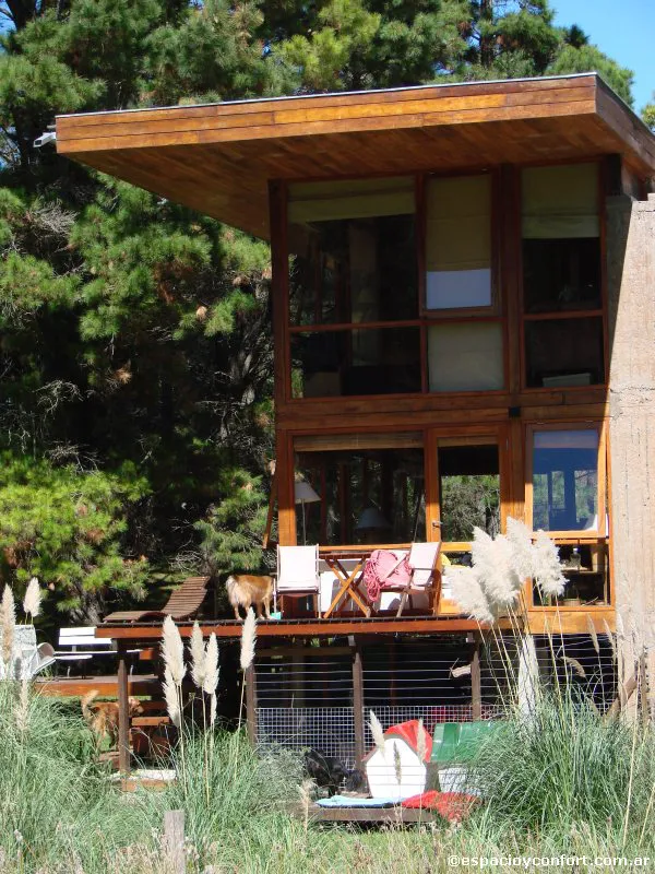 En el silencio del bosque