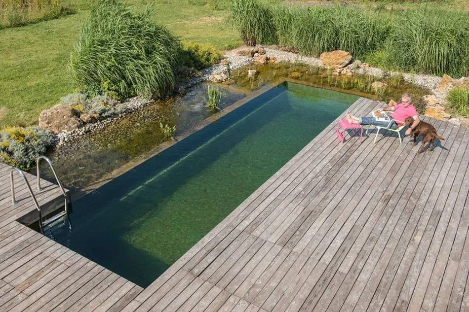 Diseño de biopiscinas