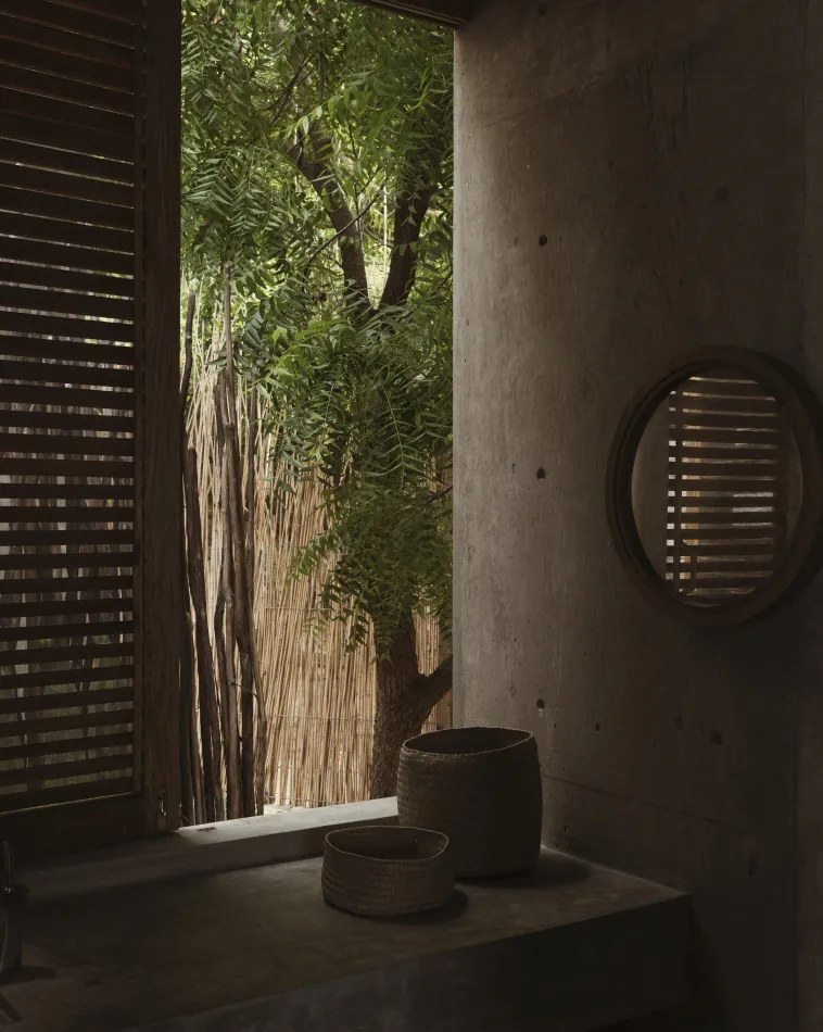 La casa de los árboles