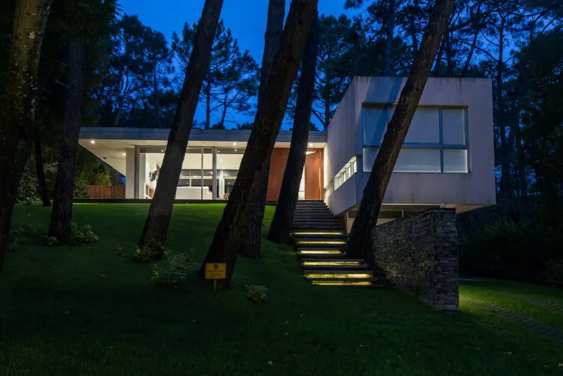 Con la poesía del bosque