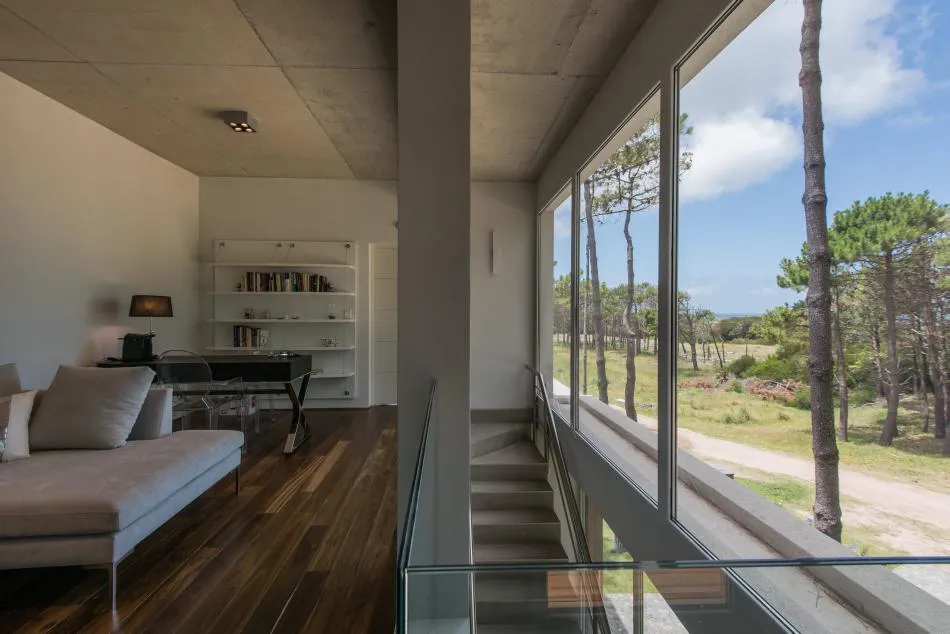 Entre el bosque y el mar