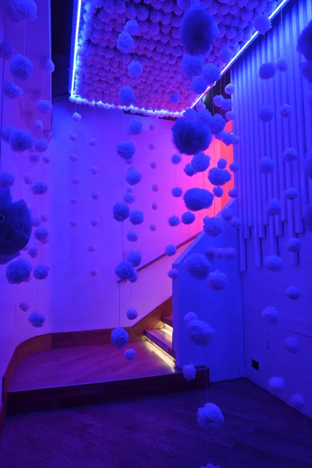 La Fundación Patagonia Flooring