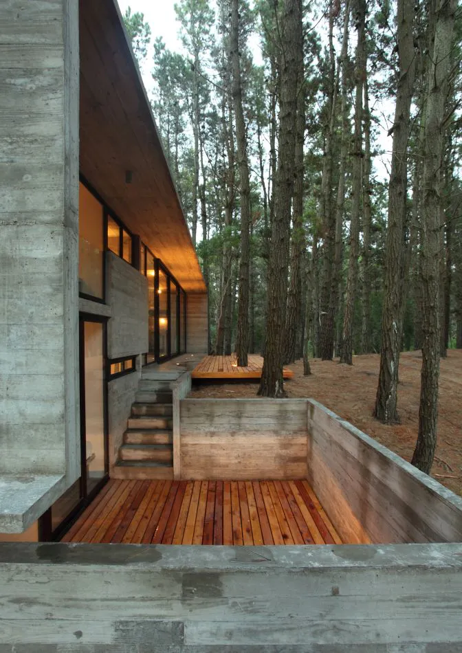 Diseñada en el bosque