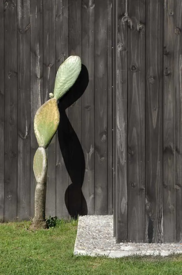 La belleza de la adecuación