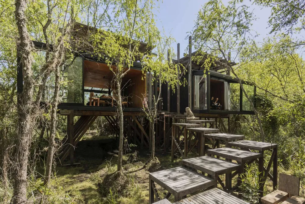 casa-libelula_06