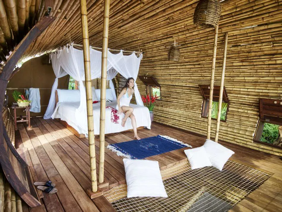 Arquitectura de la regeneración